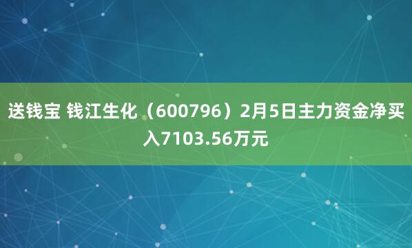 送钱宝 钱江生化（600796）2月5日主力资金净买入7103.56万元