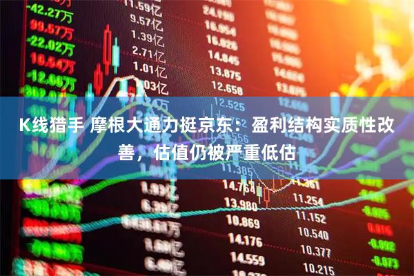K线猎手 摩根大通力挺京东:盈利结构实质性改善,估值仍被严重低估